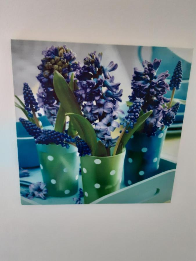 (La Parenthese) Daire Hombourg Dış mekan fotoğraf